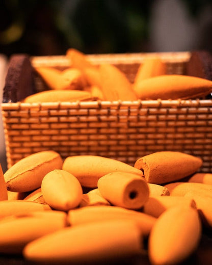 Sejura™ Lotus Aromalı Geri Akış Tütsü (10 Adet)